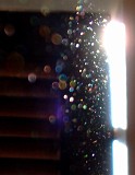 Photo_0002627