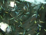 Photo_0004678