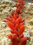 Photo_0006756