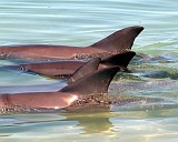 Photo_0007250