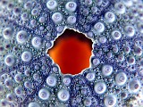 Photo_0007542