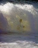 Photo_0008228