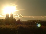 Photo_0008585