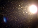 Photo_0008719