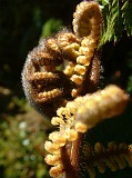 Photo_0009598
