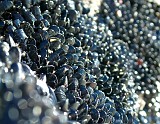Photo_0010292