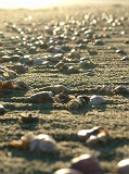Photo_0010389