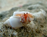 Photo_0010780