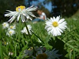Photo_0011169
