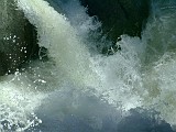 Photo_0011233