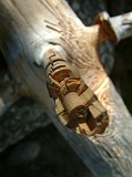Photo_0011360