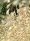 Photo_0012057
