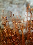 Photo_0012997