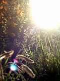 Photo_0015101