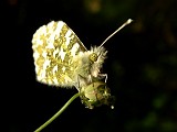 Photo_0015113