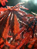 Photo_0015196