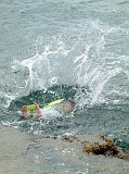 Photo_0016753