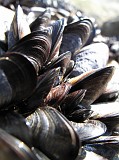 Photo_0066059_Canon_G10