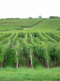 Photo_0079335_Canon_G10