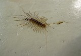 Photo_0079442_Canon_G10