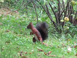Photo_0079459_Canon_G10
