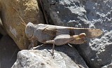 Photo_0070698_Canon_G10