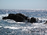 Photo_0070717_Canon_G10