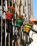 Photo_0070916_Canon_G10