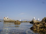 Photo_0071619_Sony_dsc-w1