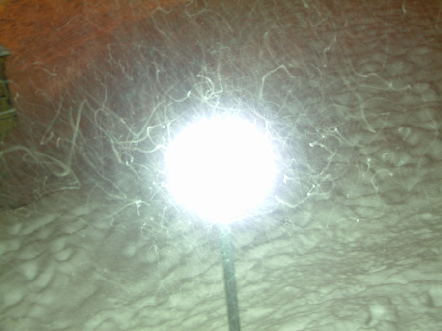 Photo_0004223