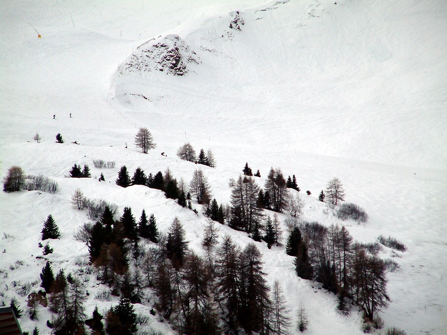 Photo_0004497