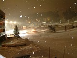 Photo_0004370