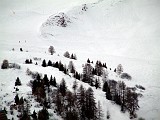 Photo_0004497