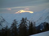 Photo_0004509