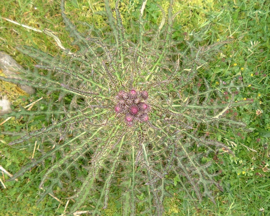 APhoto_0000877