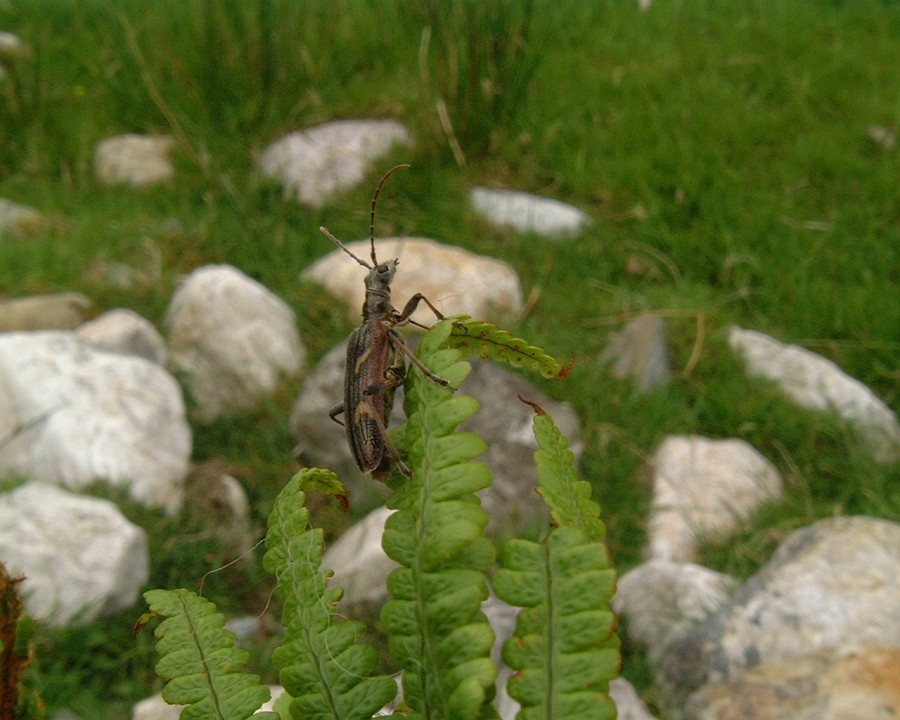 APhoto_0000931