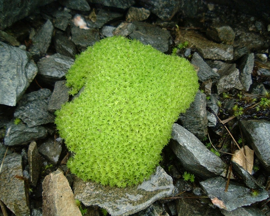 APhoto_0001044