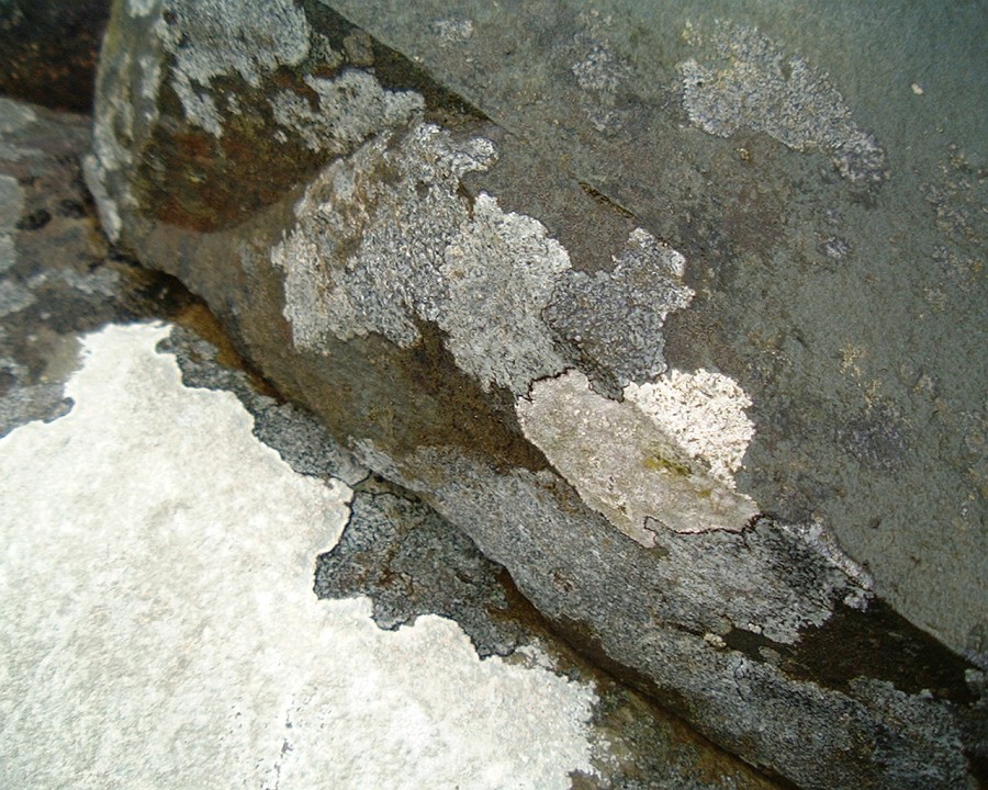 APhoto_0001084