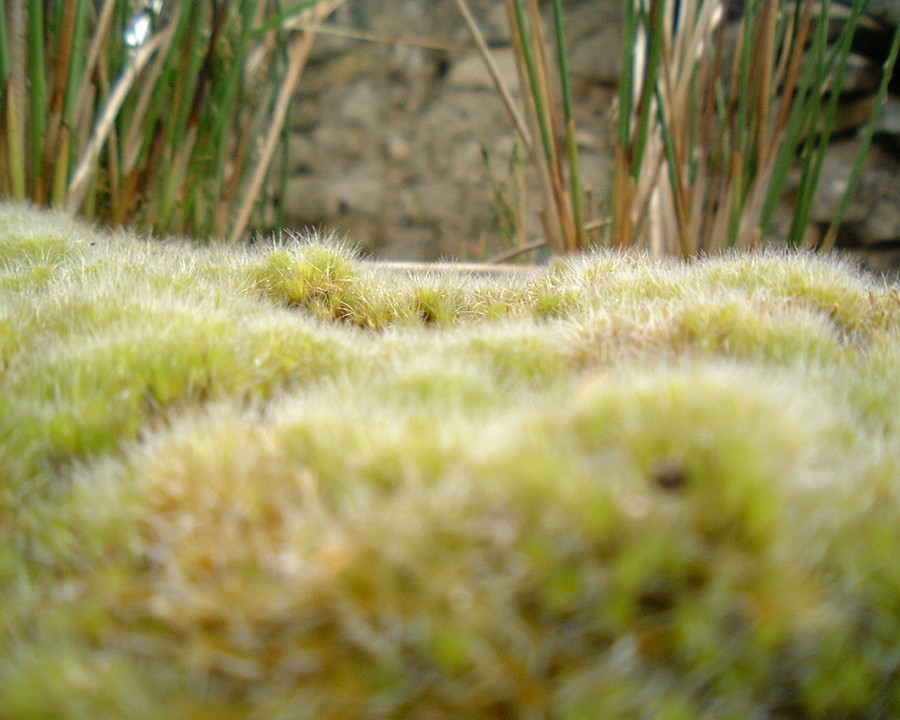 APhoto_0001090