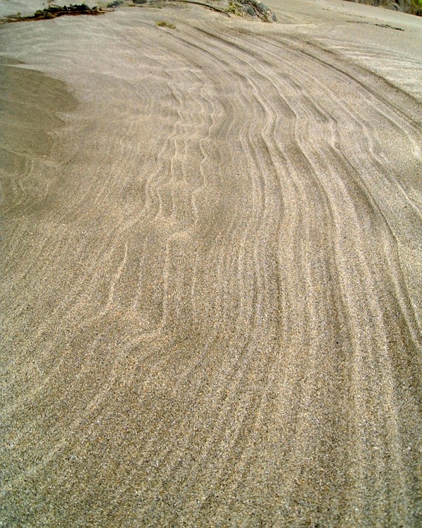 APhoto_0001124