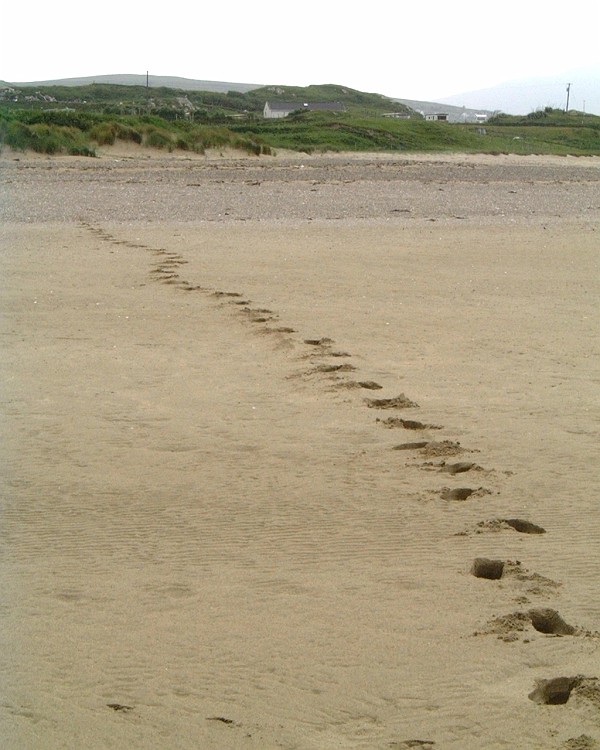 APhoto_0001131