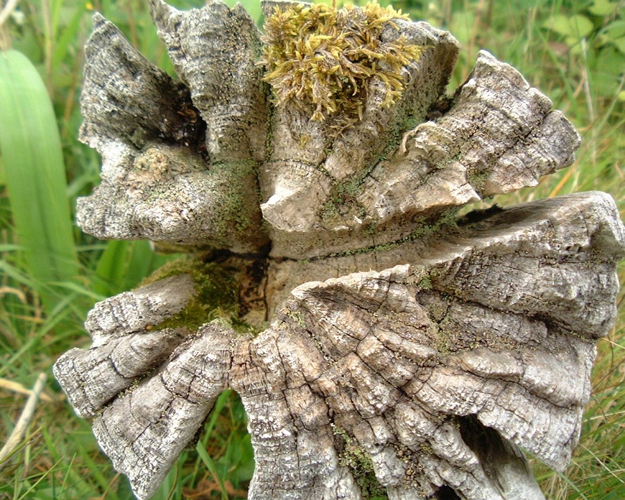 APhoto_0001134