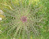 APhoto_0000877