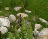 APhoto_0000931