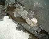 APhoto_0001084