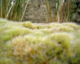APhoto_0001090
