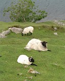 APhoto_0001107