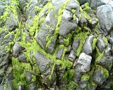 APhoto_0001121