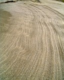 APhoto_0001124