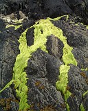 APhoto_0001125